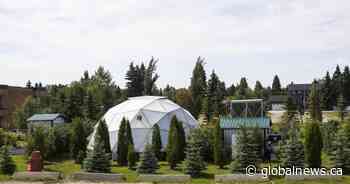 Alberta high school shortlisted in global environmental contest