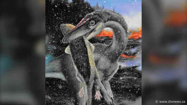 'Cold-adapted' dinosaurs survived mass extinction event to achieve dominance, study finds