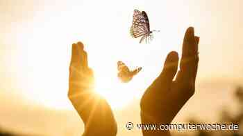 Tight-Loose-Tight-Management: "Agil ist doch Quatsch" - Computerwoche.de Live