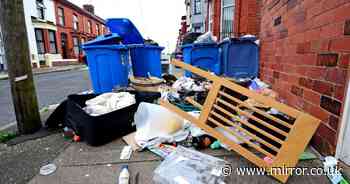Street plagued by rubbish, dumped waste and 'more rats than there are residents'