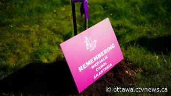 Femicide: Advocates reflect on inquest in Ontario - CTV News Ottawa