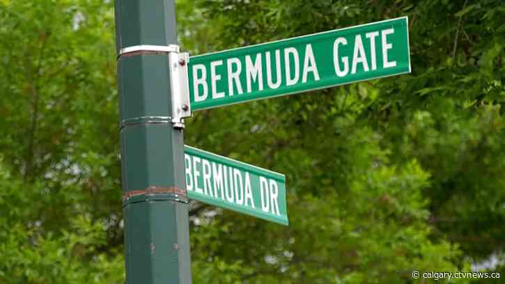 Calgary man charged after Saturday incident with stolen vehicle