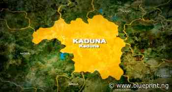Team Kaduna Karate set for next level – DoS - Blueprint Newspapers Limited