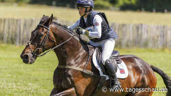 Tod des Pferdes Allstar heizt Tierwohl-Debatte an - tagesschau.de