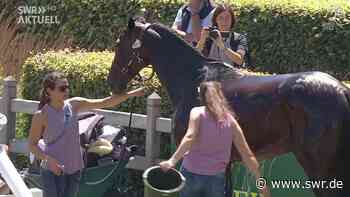Jung wird Sieg bei CHIO in Aachen aberkannt - SWR Aktuell