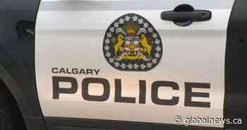 Dead body found in upper Mount Royal alley: Calgary police - Global News