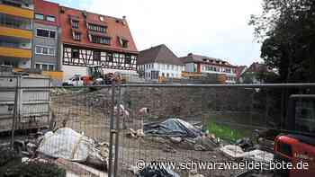 Balinger Gartenschau - Warum der letzte Bauauftrag für Ärger sorgt - Schwarzwälder Bote