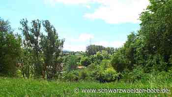 Ehemaliger Schuttplatz - Ostdorfer bleiben beim Nein gegen die Einzäunung - Schwarzwälder Bote