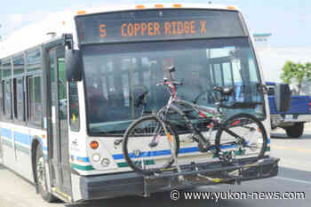 Bus fares return to Whitehorse transit system - Yukon News