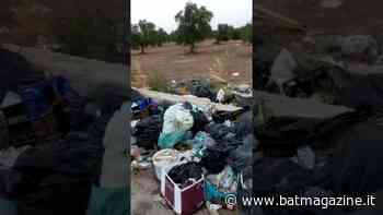 VIDEO. Trani - Discarica con carcasse di animali nei bustoni - BAT Magazine