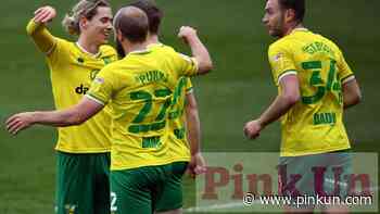 Norwich City: Focus on Luton. Middlesbrough and Millwall - PinkUn