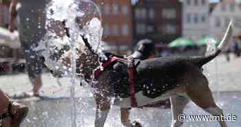 Was ist noch möglich, wenn Wasser gespart werden muss? Eine Spurensuche - Mindener Tageblatt