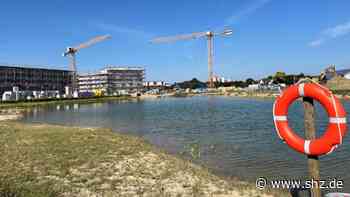Arbeiten abgeschlossen: Im neuen Lüttensee in Tornesch schwimmen schon hunderte Fische - shz.de