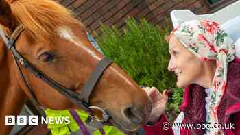 Terminally ill woman reunited with horse at Aylesbury hospice