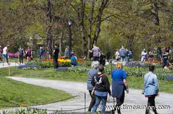 How Albany manages its urban forest - Times Union