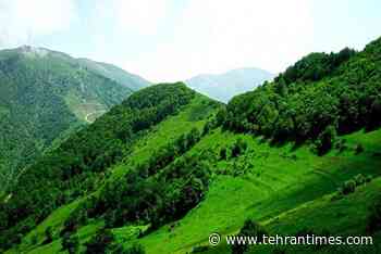 Zagros forest restoration document drawn up - Tehran Times