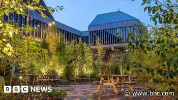 Derby 'urban forest' opens in city centre - BBC