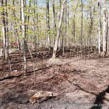 Not a busy season for forest fires - so far - My Muskoka Now