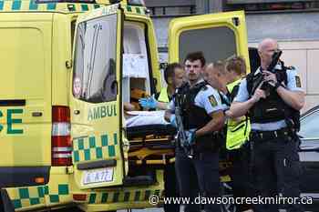 3 dead, 3 critically wounded in shooting at Denmark mall - Dawson Creek Mirror