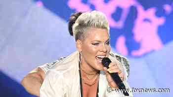 Pink tells supporters of SCOTUS abortion decision to 'NEVER F---ING LISTEN TO MY MUSIC AGAIN'