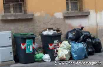 Imola, dieci nuove fototrappole contro l'abbandono di rifiuti - CorriereRomagna