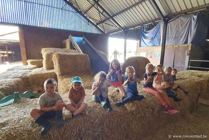 Jeugdregio Pajottenland zet zomervakantie in op ’t Hof