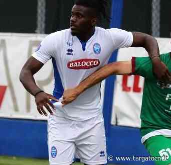 Calcio Serie D, tris di conferme in casa Fossano - TargatoCn.it