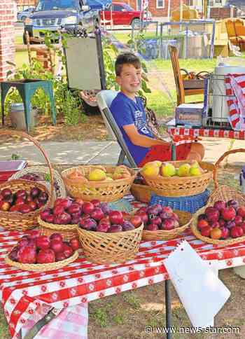New Farmers Market now open Saturdays in Tecumseh – Shawnee News-Star - Shawnee News-Star
