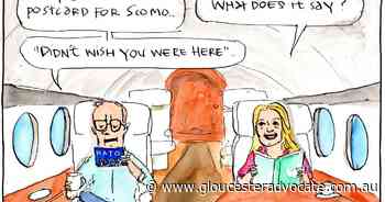 The Echidna: Roe, Roe, Roe your boat to another daft decision - Gloucester Advocate