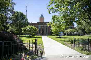 New facilities won’t solve Southwest Michigan’s shortage of inpatient psychiatric beds - MLive.com
