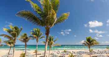 Booking.com boss aiming to 'solve the most complicated problem in travel' as firm adds hundreds of jobs - Business Live