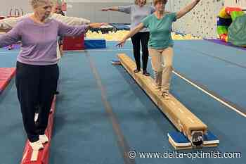 Delta seniors program gets financial boost - Delta Optimist