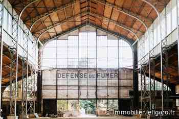 Le Hangar Y à Meudon, à l'abandon depuis 40 ans, renaît de ses cendres - Figaro Immo