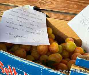 Germignaga, alla casetta dell'acqua un piccolo 'regalo' che riempie il cuore di gioia - Virgilio