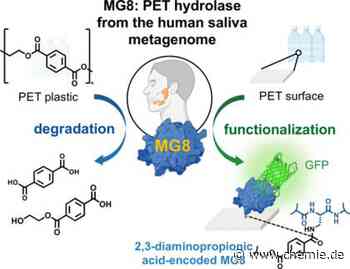 Neue PET-Hydrolase in menschlicher Spucke entdeckt
