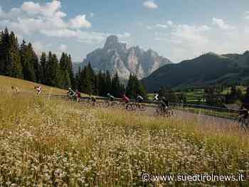 Maratona dles Dolomites-Enel: Radfahren und Blumen, ein Erfolgsrezept - Suedtirol News