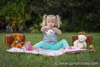 Teddy bear picnic planned for Fergus this summer - GuelphToday