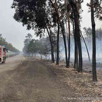 Bevölkerungsschutz-Reform erfordert Grundgesetzänderung - Radio Bonn / Rhein-Sieg - radiobonn.de