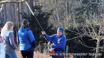 Natur in Holzhausen - Pfingstbrunnenwiese bietet Lebensraum für viele Tiere - Schwarzwälder Bote