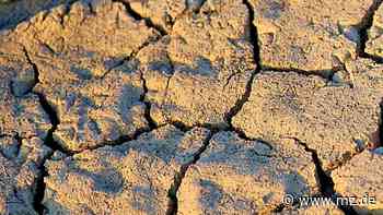 Dürre: Viel zu wenig Regen im ersten Halbjahr in Bernburg - Mitteldeutsche Zeitung