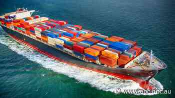 Mental health crisis unfolding on 'prison ships' as companies deny seafarers shore leave due to COVID fears