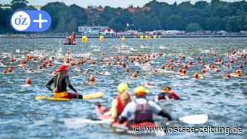Stralsund: Das Sundschwimmen 2022 in Bildern - Ostsee Zeitung