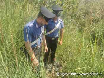 Crotone, controlli sui prelievi abusivi d'acqua: 14 denunce - La Nuova Calabria
