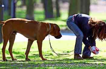 Vierbeiner und ihr „Geschäft“ - Viele Hundekottüten in der Landschaft - Leonberger Kreiszeitung
