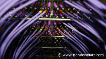 Studie: Digitalisierung und Recht: Regulierung überfordert Unternehmen