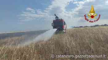 Crotone e incendi, ancora una giornata da incubo: a Gabella le fiamme vicine ai binari - Gazzetta del Sud - Edizione Catanzaro, Crotone, Vibo