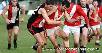 Tough game for Bordertown as Kingston moves up the ladder - Naracoorte Herald