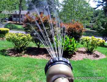 Kingston to begin watering restrictions for 2022 – Kingston News - Kingstonist