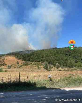 INCENDIO A SINALUNGA, BRUCIA ZONA BOSCHIVA A MONTALBANO - oksiena.it