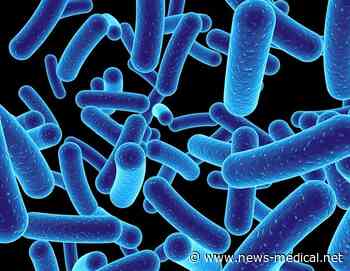 UMass Amherst assistant professor wins $1.4 million grant to engineer synthetic bacteria for water contaminant removal - News-Medical.Net